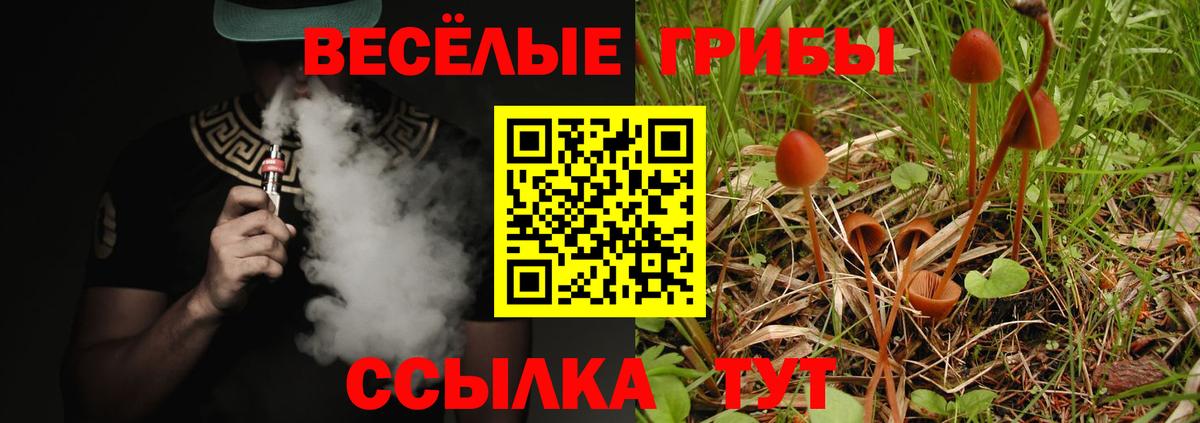 Псилоцибиновые грибы MAGIC MUSHROOMS  Псилоцибиновые грибы GOLDEN TEACHER  Ефремов  Вход с VPN 